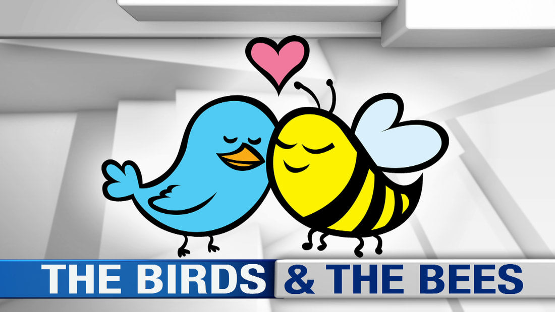 Birds and The Bees Episode 3